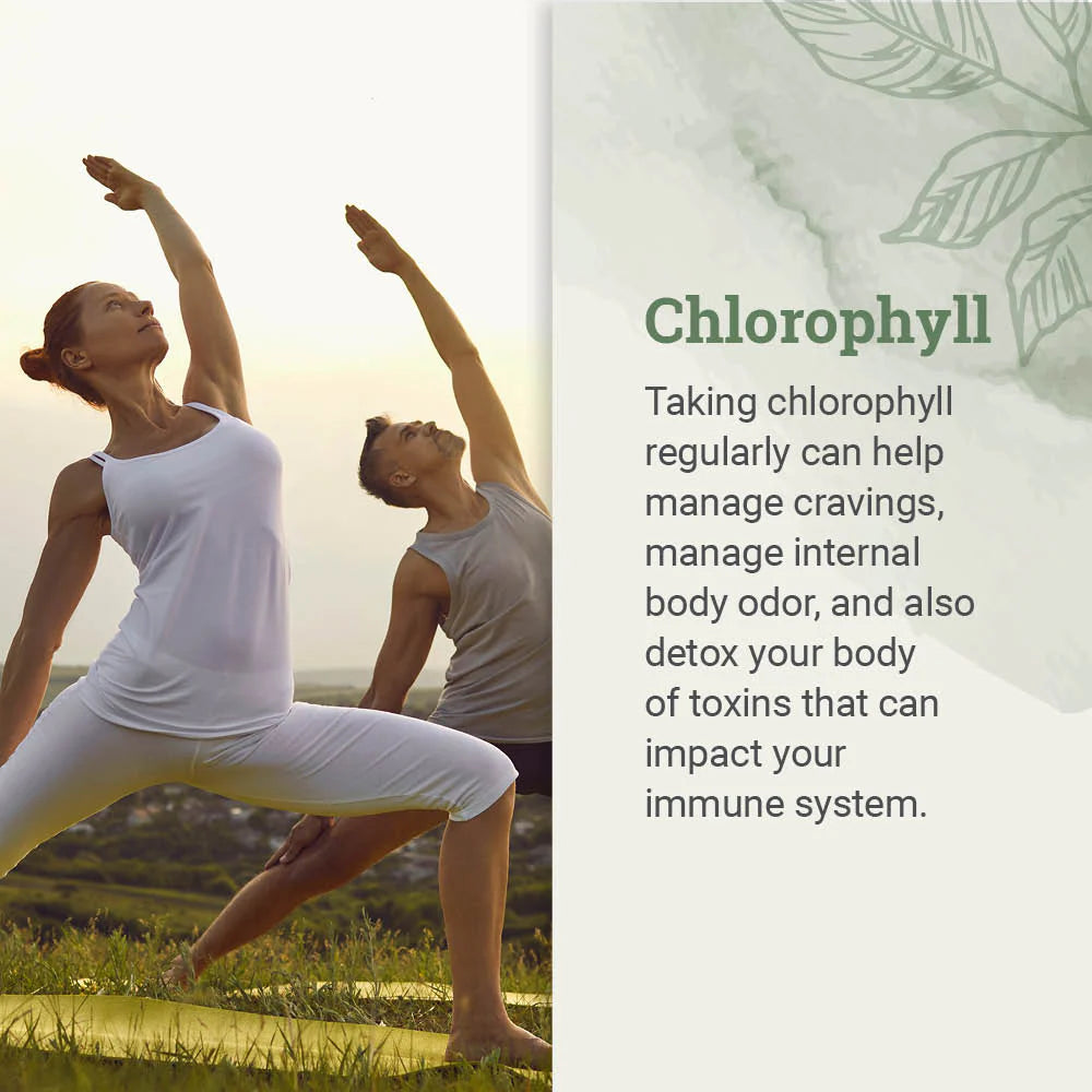 Chlorophyll 50 MG