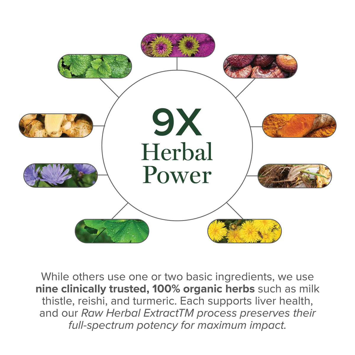 Liver Health Extract