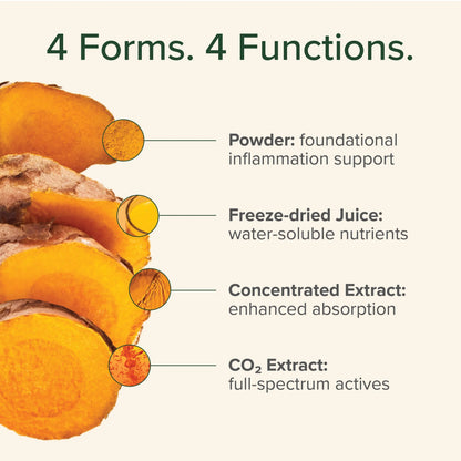 Turmeric Extract