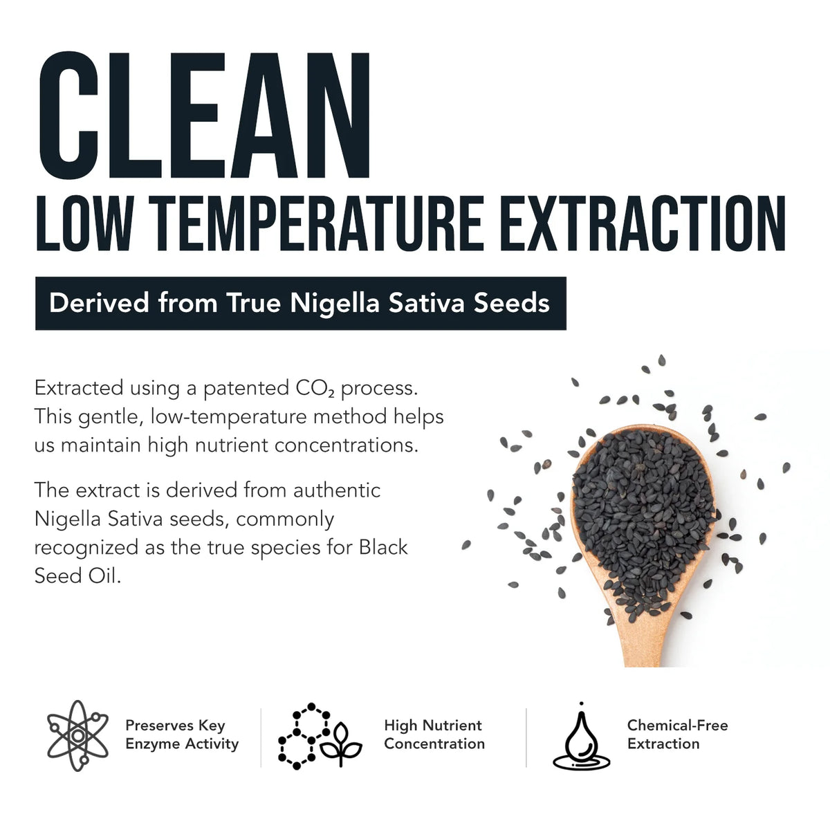 TQ4X Black Seed Extract 125 MG
